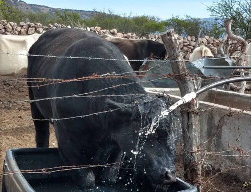 Agoniza campo zacatecano, no le dan crédito y le venden insumos caros